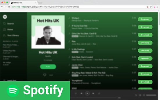 spotify and deezer music downloader