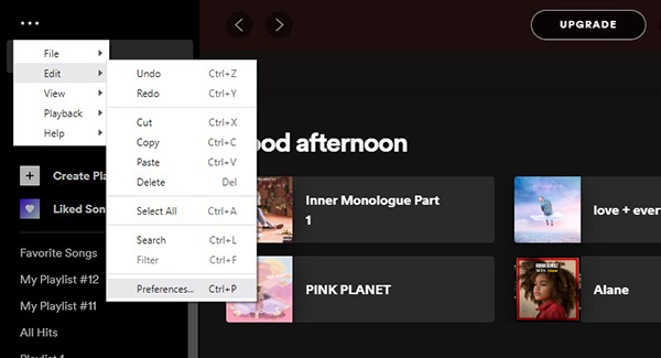 edit spotify preferences