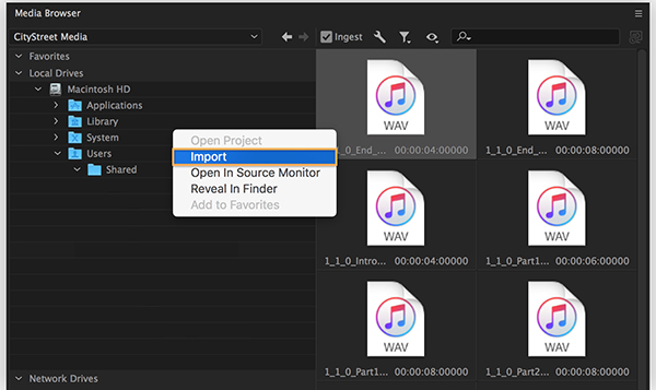 add music to premiere pro from spotify