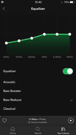 spotify equalizer on mobile phones