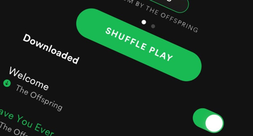 turn off shuffle play to fix spotify not working on echo