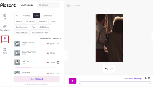 audio option on picsart