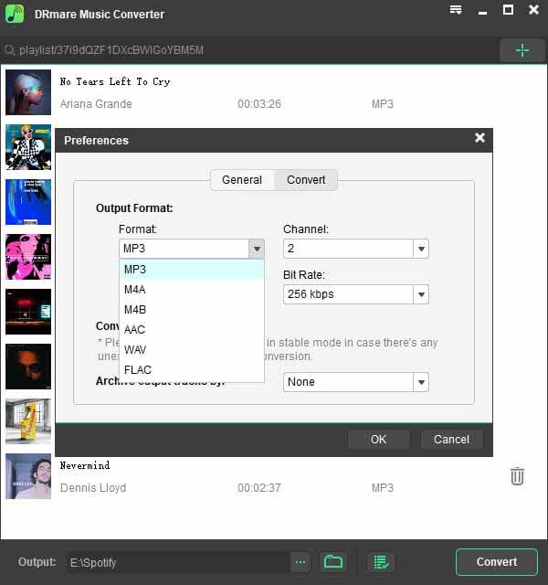 set spotify output formats in drmare spotifytube alternative