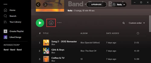 download and listen to spotify offline with premium on computer