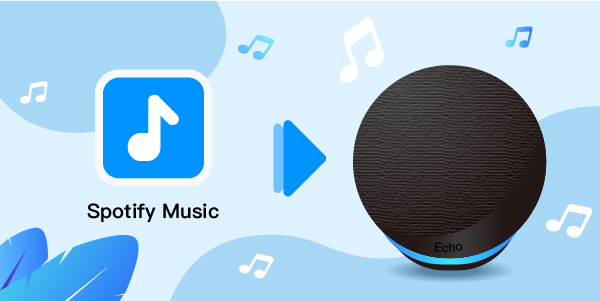 spotify on echo