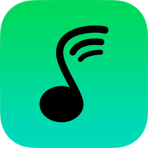 How to Download Spotify MP3 320kbps Songs 2024 [3 Ways]