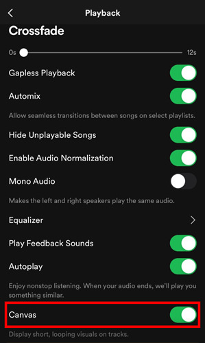 enable canvas to fix canvas on spotify not working