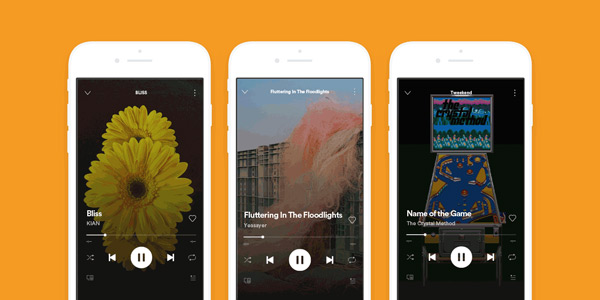 spotify canvas