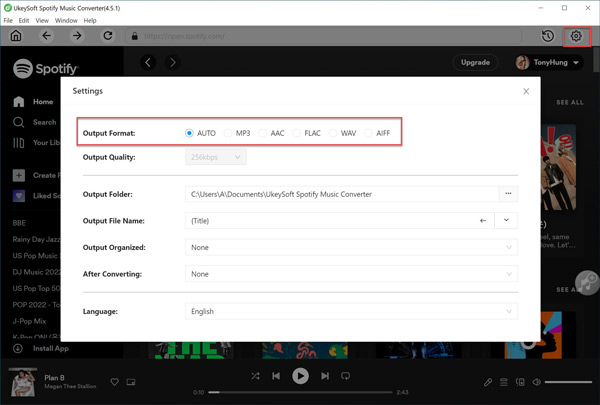 choose spotify output format