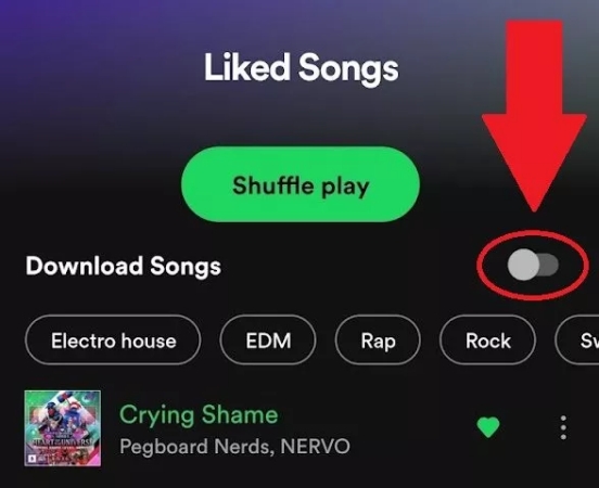 download spotify songs